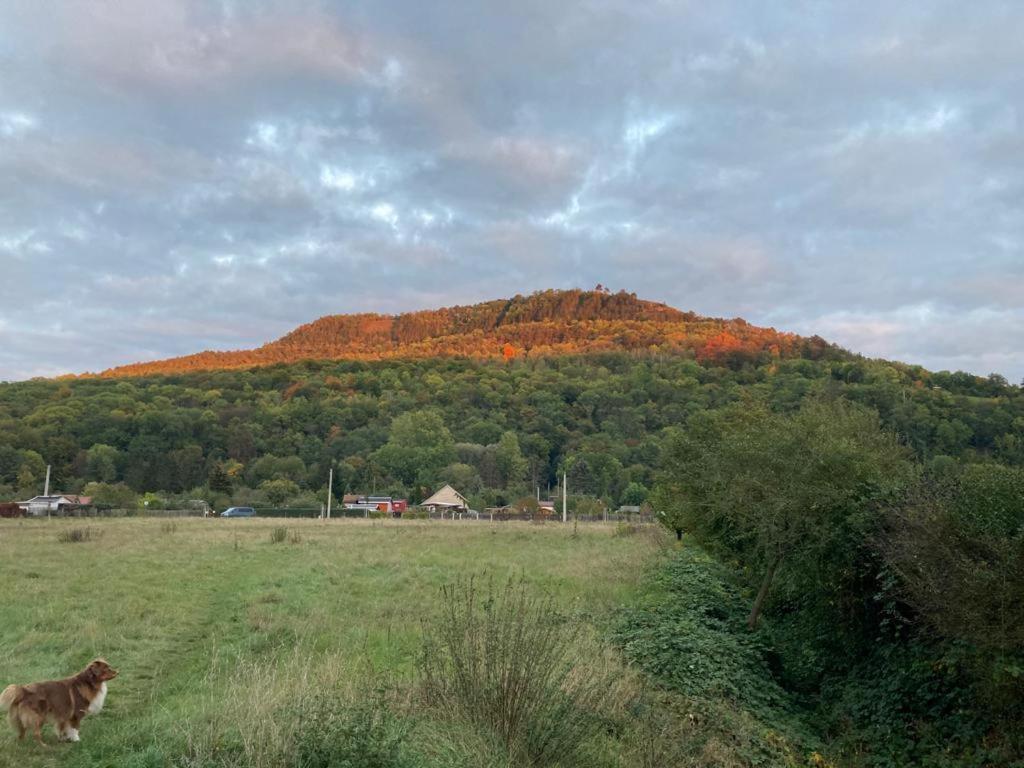 Jena Paradies Esterno foto